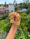 Royal Elephant Kashmiri Earrings