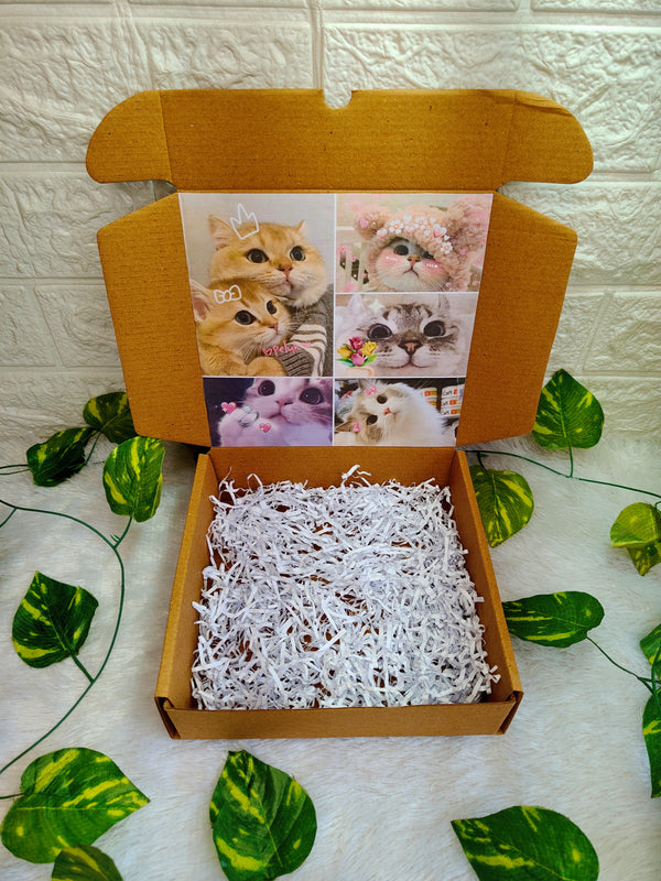 Feline Feelings Aesthetic Box