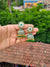 Elegant Oxidized Gold Stone-Studded Jhumka Earrings - Green